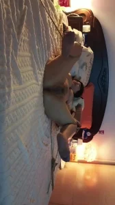 骚逼母狗被绑在床上露脸内射反抗不能