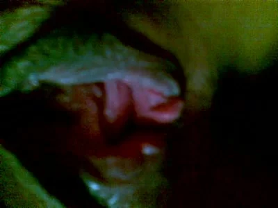 [原创]玩弄西北老鸡松弛阴道